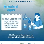 🌱💧 ¡Recicla el agua y cuida de tu hogar y el planeta! 💧🌱