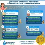 ¿Sabes a qué categoría perteneces?