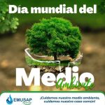 DÍA  MUNDIAL DEL MEDIO AMBIENTE